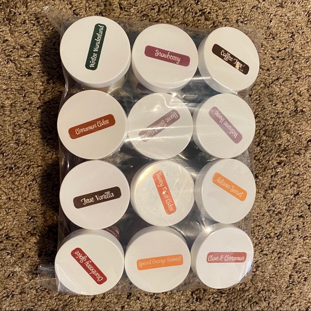 Large Scentsy Testers winter